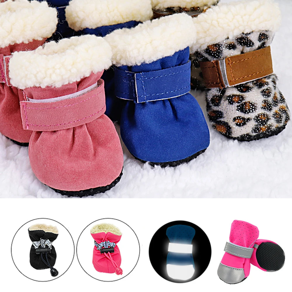 Pet Supplies