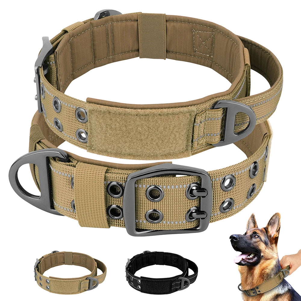 Pet Training Equipment