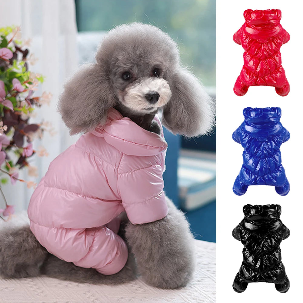 Pet Clothing & Apparel