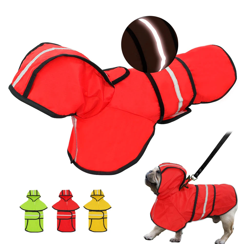 Pet Clothing & Apparel